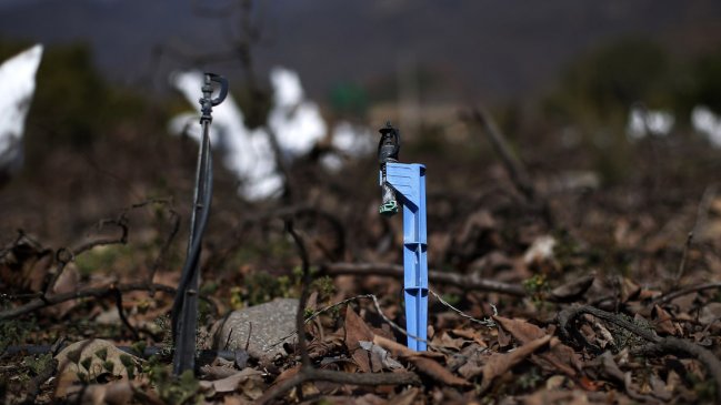 Ministro de Obras Públicas y escasez hídrica por sequía: La situación está mucho peor de lo que se pensó