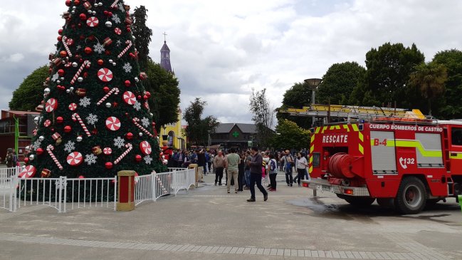 Intentaron quemar árbol de Navidad en Castro: Hay cuatro detenidos