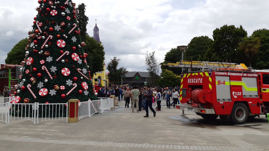 Intentaron quemar árbol de Navidad en Castro: Hay cuatro detenidos