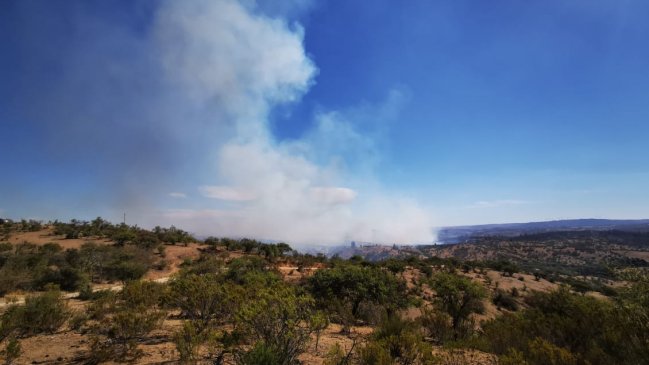 La situación de los incendios forestales en el país