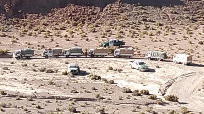 Decomisan millonario cargamento de cigarrillos de contrabando en sector fronterizo de Calama