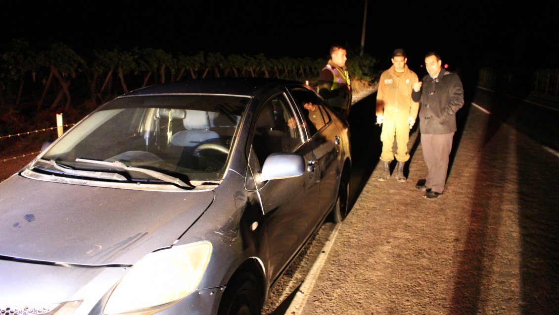 Hombre falleció atropellado mientras caminaba por una carretera en Atacama