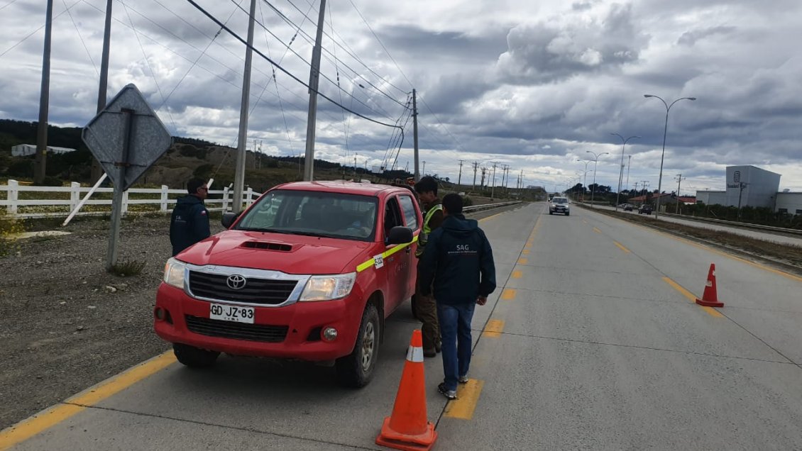 Magallanes: Carabineros y SAG impulsan campaña para prevenir el abigeato