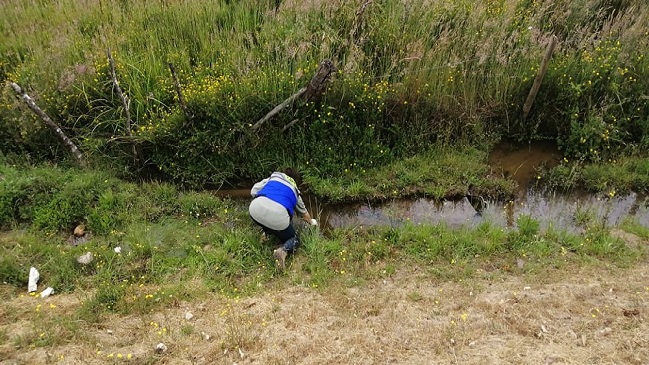 Salud ordena sumario por camión que botó 300 litros de petróleo en estero de Santa Juana