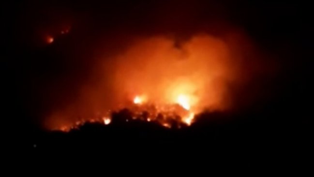 Incendio consume más de 180 hectáreas en Rauco