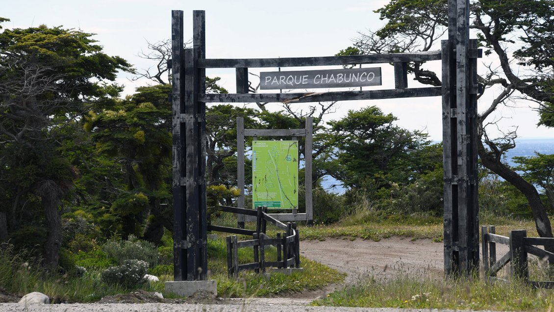 Punta Arenas: Destacan comportamiento de la comunidad en el Parque Chabunco durante Navidad