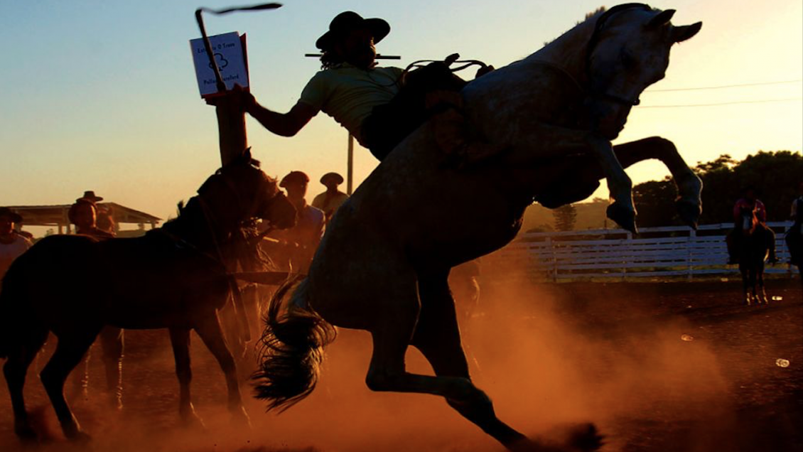 A caballazos y con rebenque imputado por violencia intrafamiliar intentó evitar su detención
