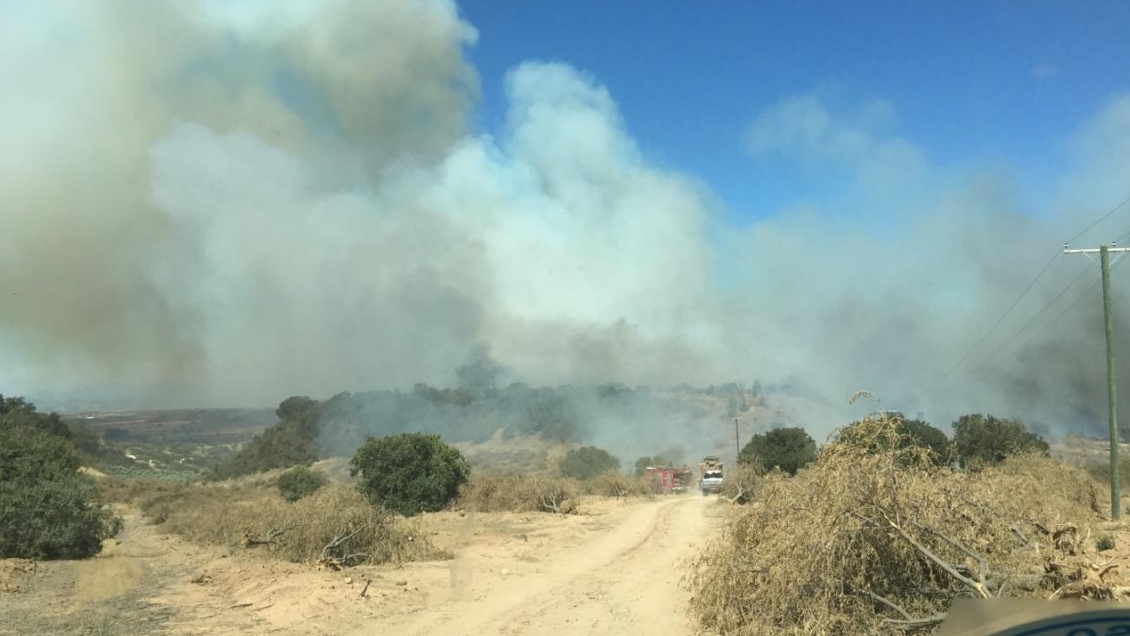 Declaran alerta amarilla por incendio forestal en La Estrella