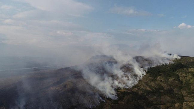 Aysén: Autoridades inician plan preventivo contra incendios forestales por altas temperaturas