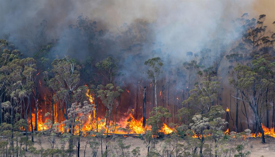 Incendio forestal atrapa a 4 mil personas en un pueblo de Australia