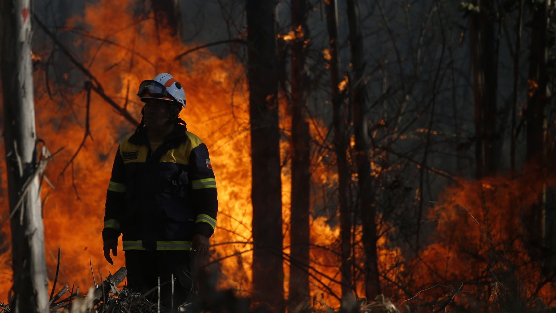 Corte revocó arresto domiciliario y dejó en prisión preventiva a imputados por incendio en Curauma