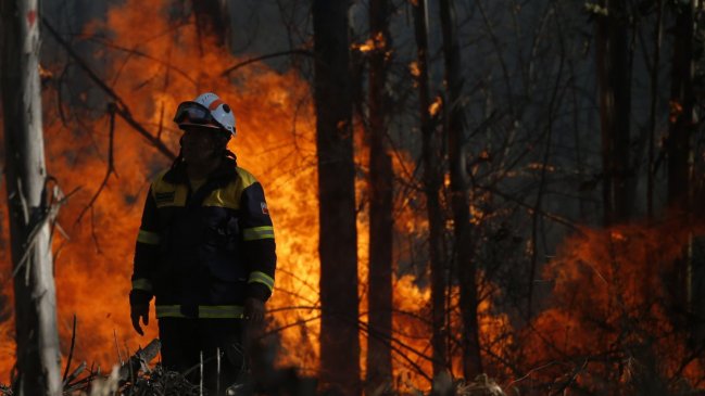 Corte revocó arresto domiciliario y dejó en prisión preventiva a imputados por incendio en Curauma