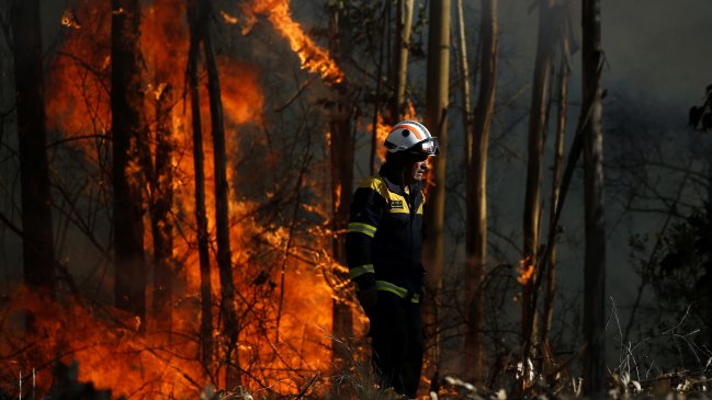 Dos incendios forestales simultáneos se registran en La Araucanía