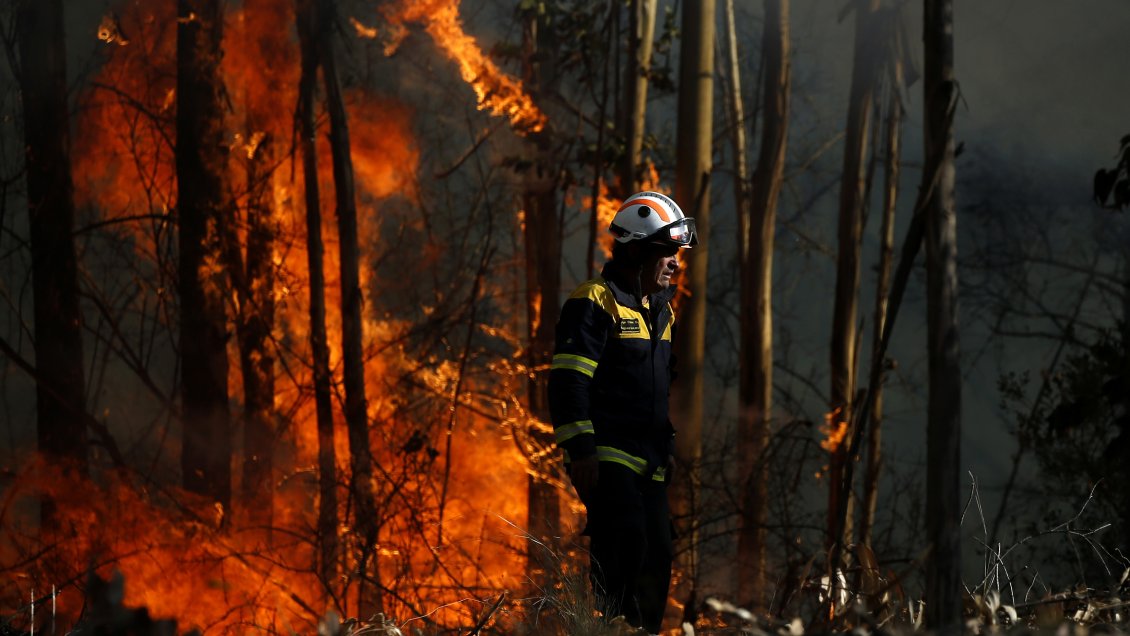 Dos incendios forestales simultáneos se registran en La Araucanía
