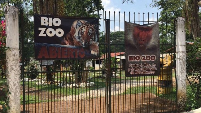 Jaguar destrozó brazo de mujer que intentó sacarse selfie en zoológico