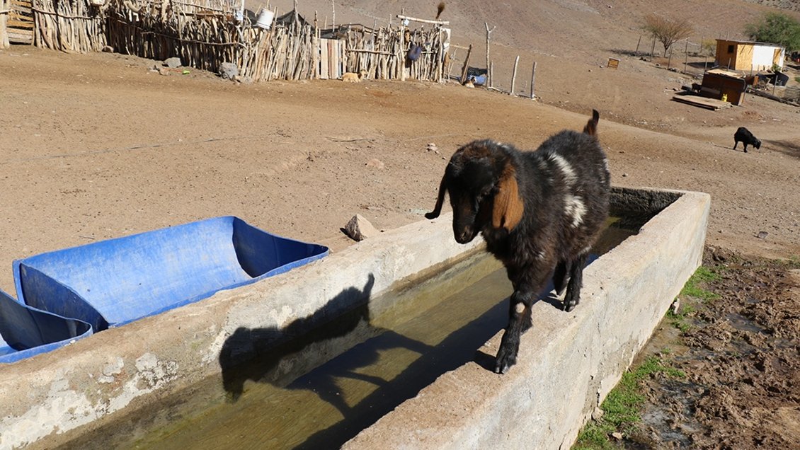 Gobierno planea destinar 3.200 millones para enfrentar la dramática sequía en Coquimbo