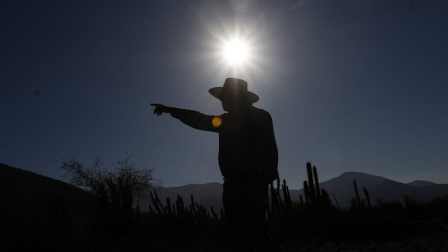 Agricultores del Maule: 