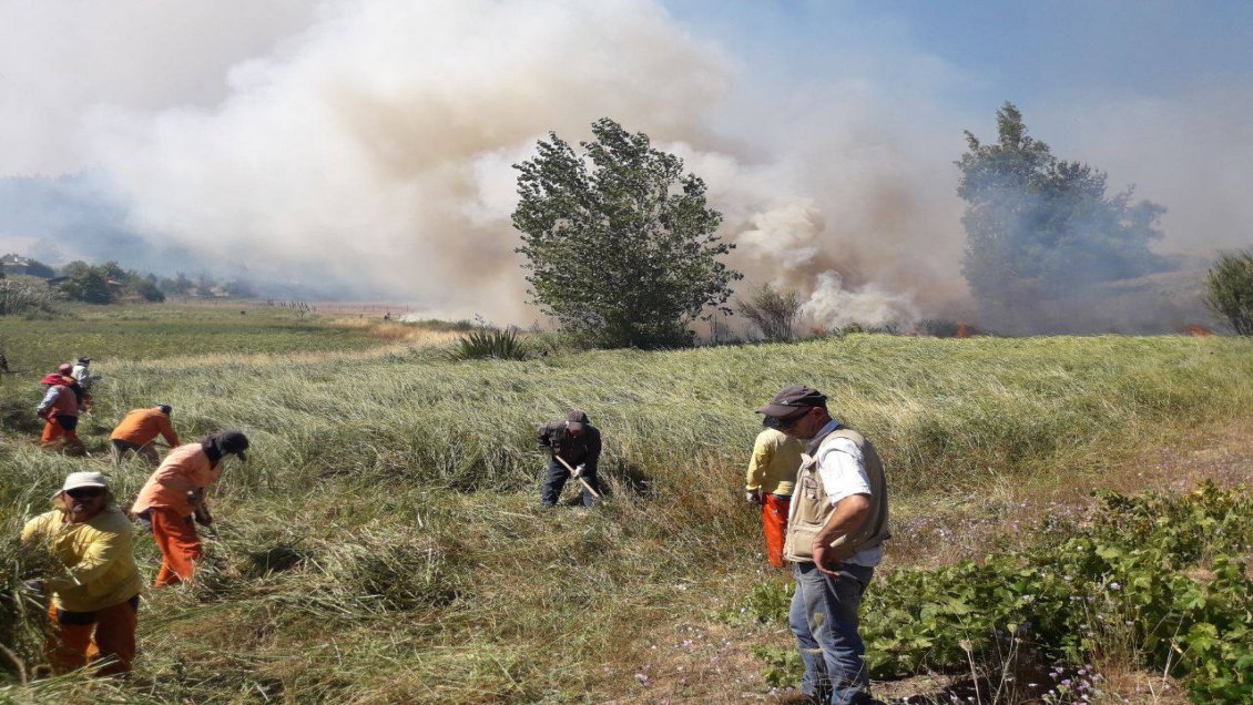 Corte confirmó prisión para el primer formalizado del año por incendio intencional en Ñuble