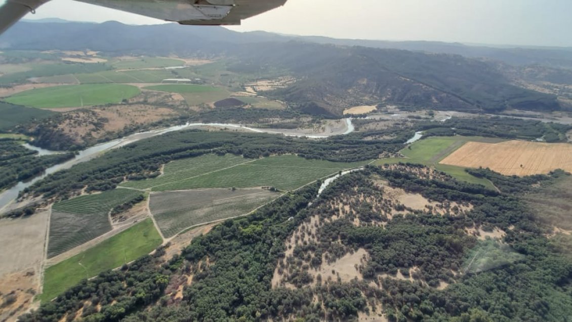 Sequía: Amplían emergencia agrícola a otras cuatro comunas del Maule