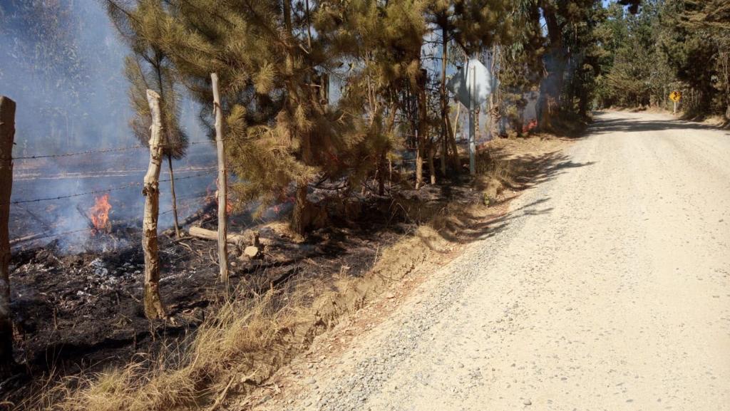 Onemi declaró alerta roja por incendio forestal “Tuman” en Navidad