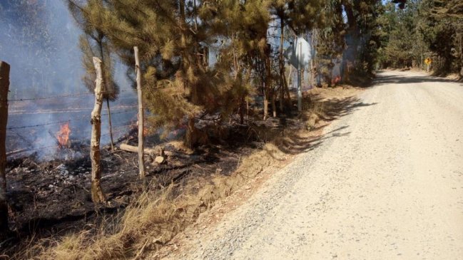 Onemi declaró alerta roja por incendio forestal “Tuman” en Navidad