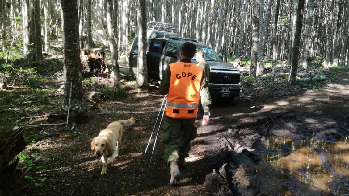 Encuentran cuerpo en la cima del cerro Cinchao en la Reserva Forestal Coyhaique
