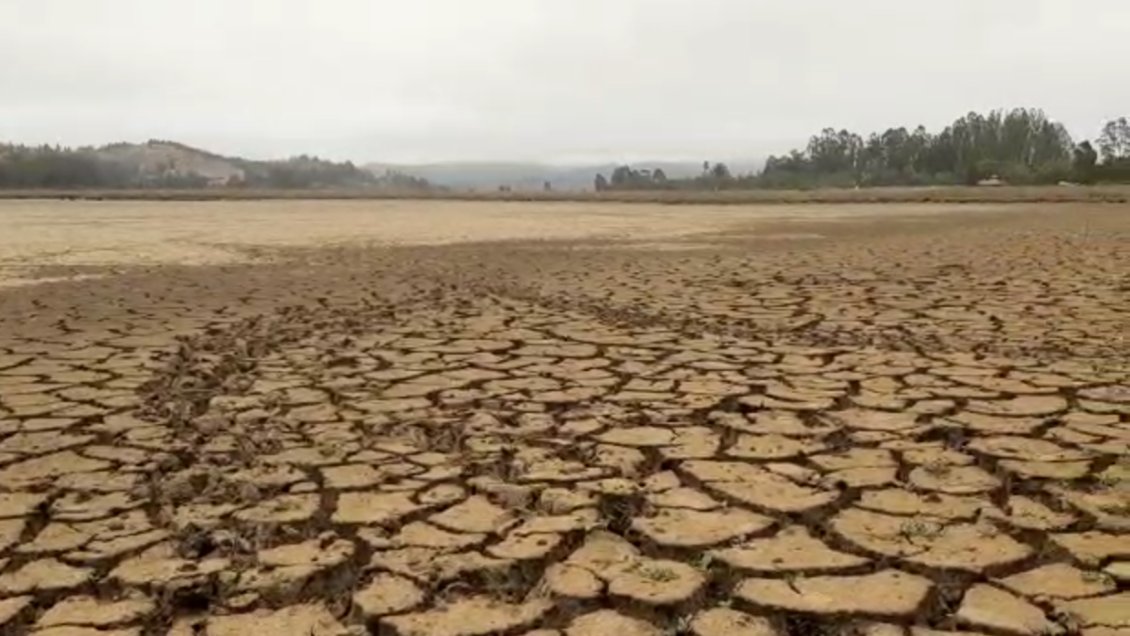 Curicó: Sector sur de la laguna Torca está completamente seco