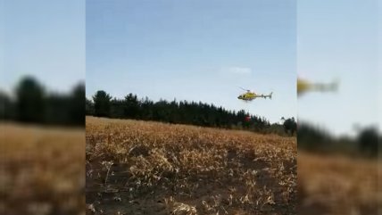 Helicóptero de Conaf cayó en un predio de La Araucanía  