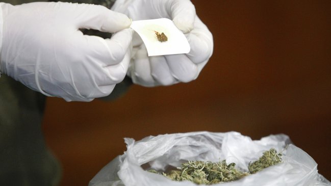 Carabineros incautó más de 1.500 dosis de drogas en Tarapacá