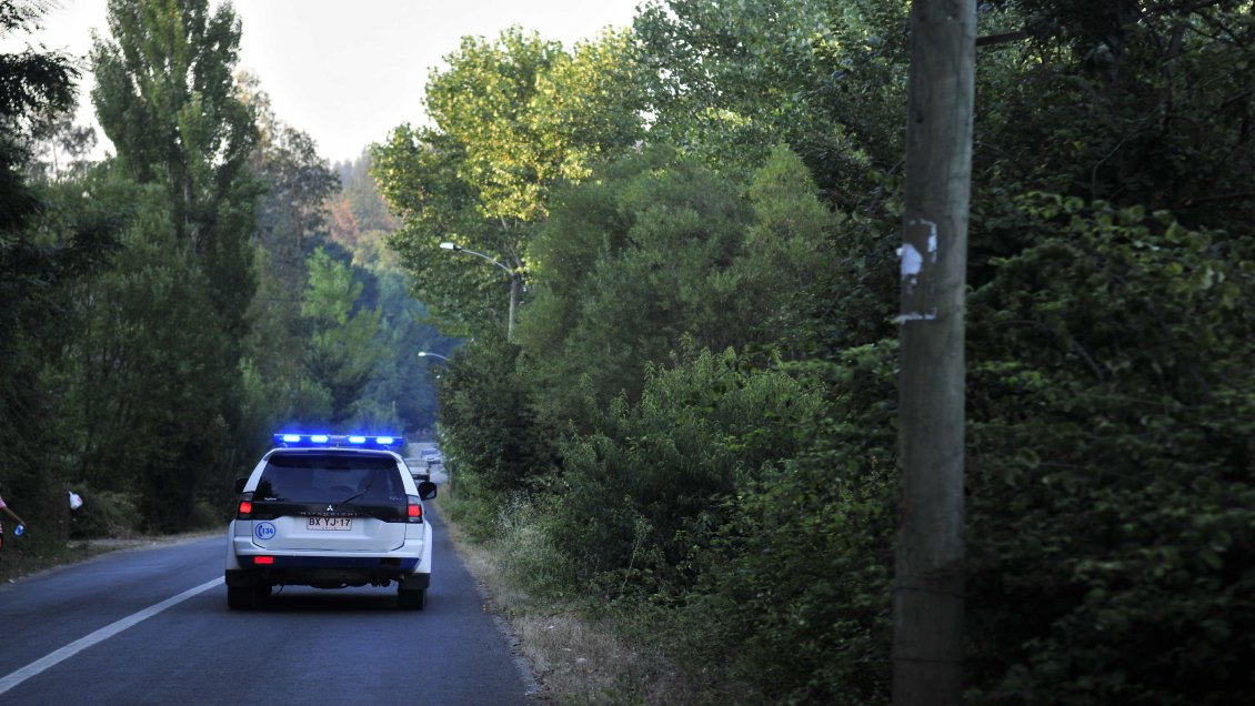 PDI decomisó marihuana avaluada en 14 millones de pesos en Portezuelo