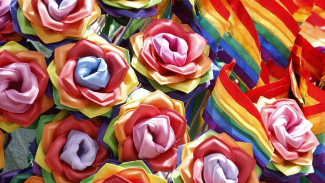 Senado votará en general proyecto de matrimonio igualitario