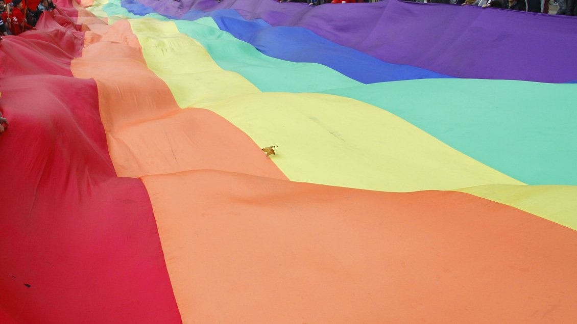 Senado aprobó idea de legislar el matrimonio igualitario