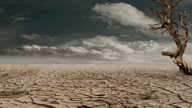 El 2019 fue el segundo año más caluroso en la historia