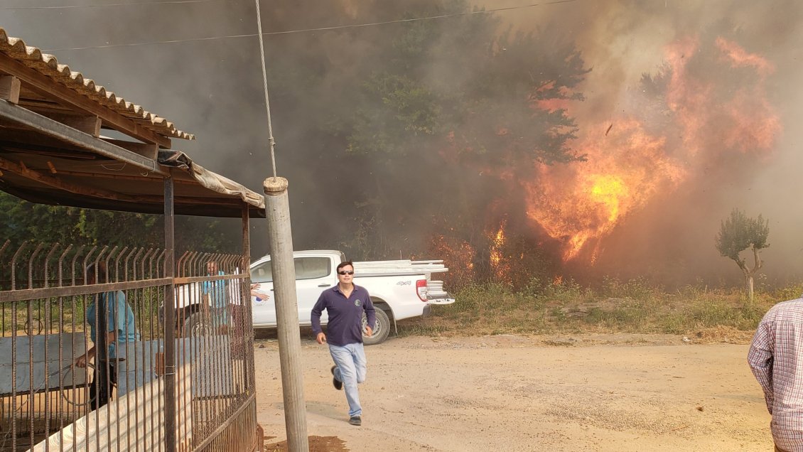 Aumenta número de incendios forestales en O'Higgins: 87% afectó menos de 5 hectáreas