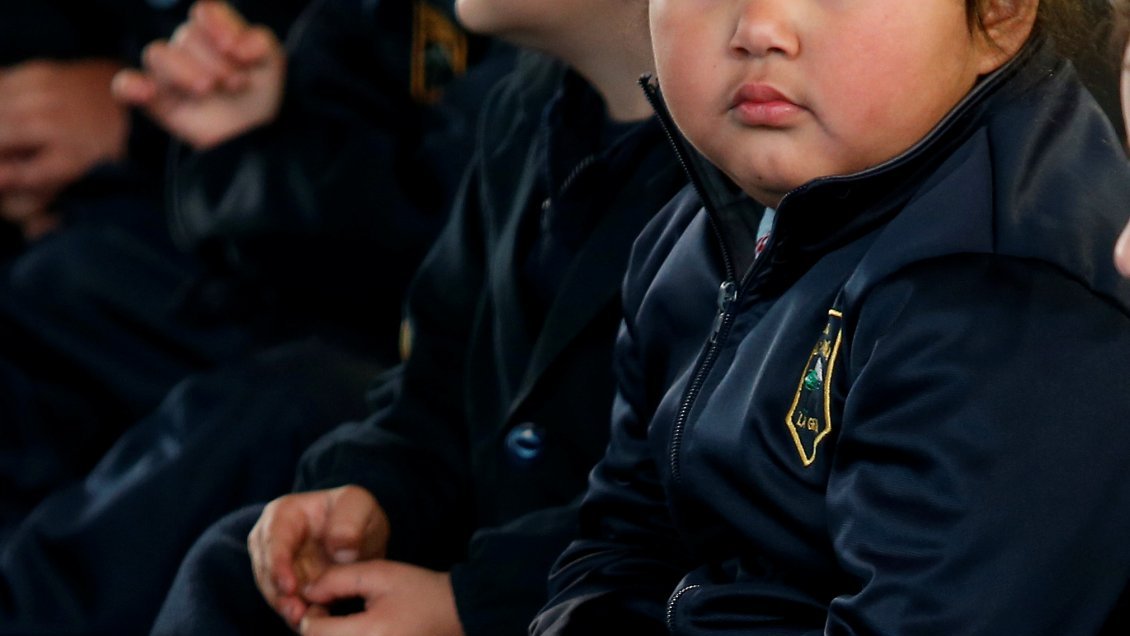 Todas las Regiones de Santiago al sur lideran listado de niños de Primero Básico con sobrepeso u obesidad