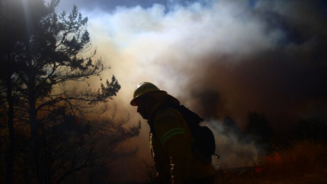 Querellantes buscan impugnar acuerdo compensatorio de CGE tras incendios forestales 2016-2017