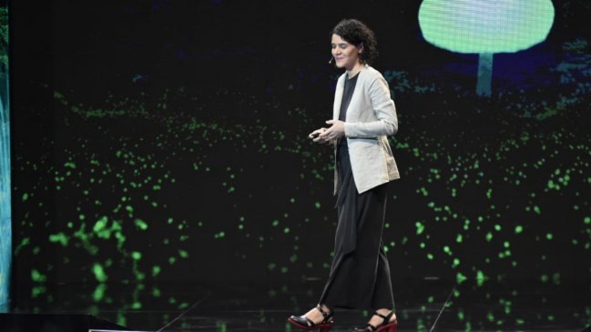 Bióloga advirtió impacto de plantaciones de pinos y eucaliptos en ciclo del agua