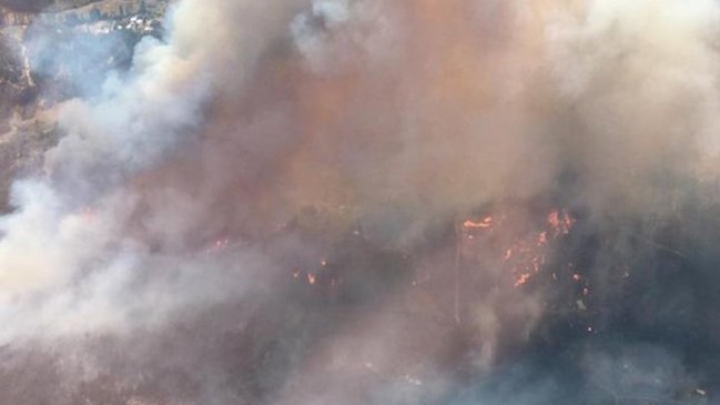 Al menos 600 hectáreas han sido afectadas por incendios en el Biobío
