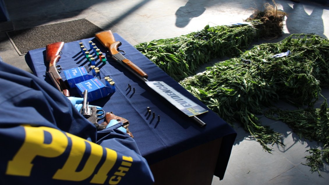 Trabajadores agrícolas fueron detenidos por cultivo de marihuana en predio de Coihueco