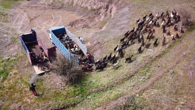 Autoridades presentan plan para enfrentar sequía en O'Higgins