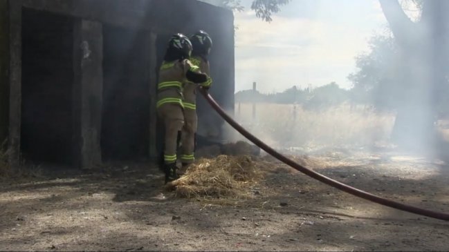 Ñuble: Cancelan alerta amarilla regional tras cinco días de incendios en seis comunas