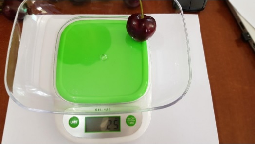 La guerra de las cerezas: Chile Chico, Gorbea y Osorno se pelean por la más grande del mundo