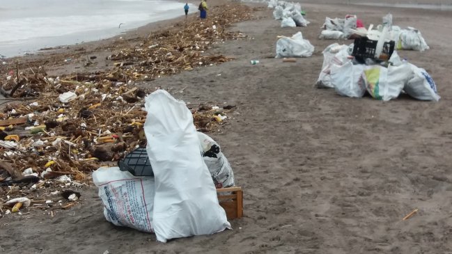 Recogen 30 toneladas de basura en playa Chinchorro tras bajada del río San José en Arica