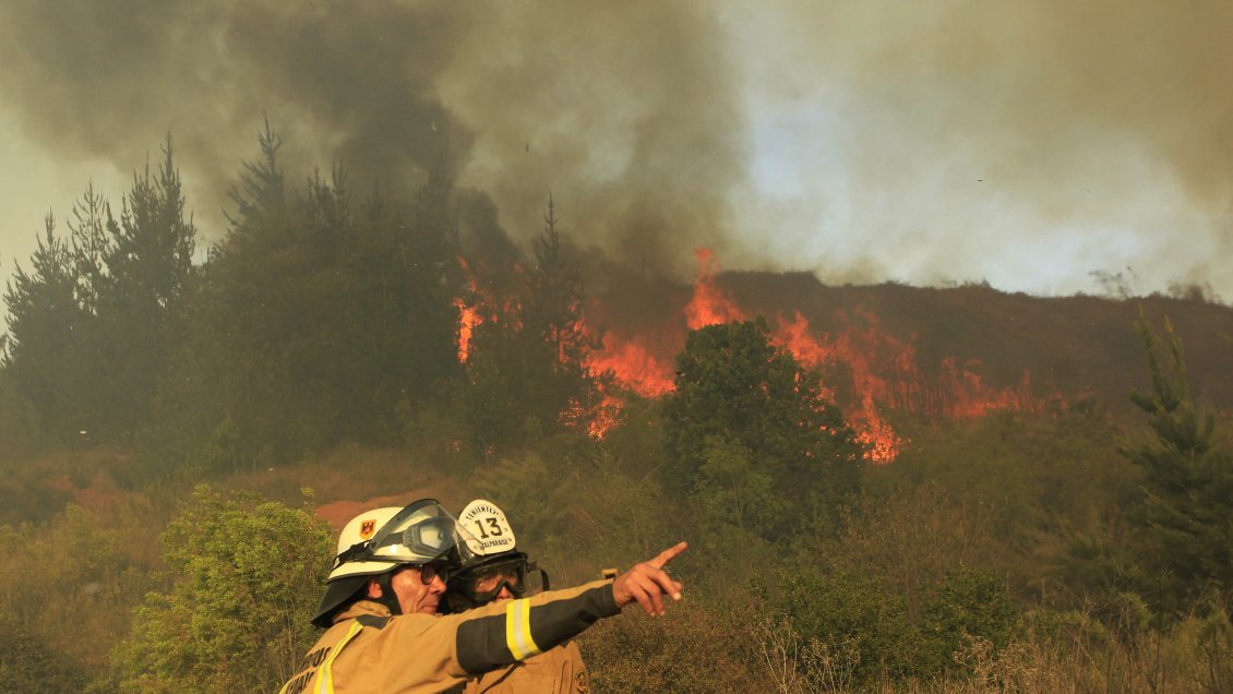Onemi decretó alerta roja en Galvarino por incendio forestal