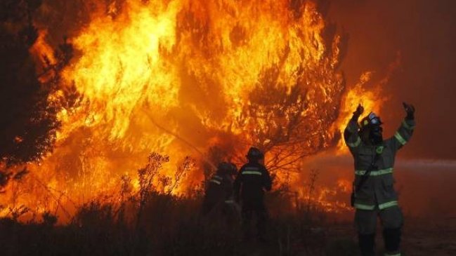 Cinco formalizados en La Araucanía por uso negligente del fuego