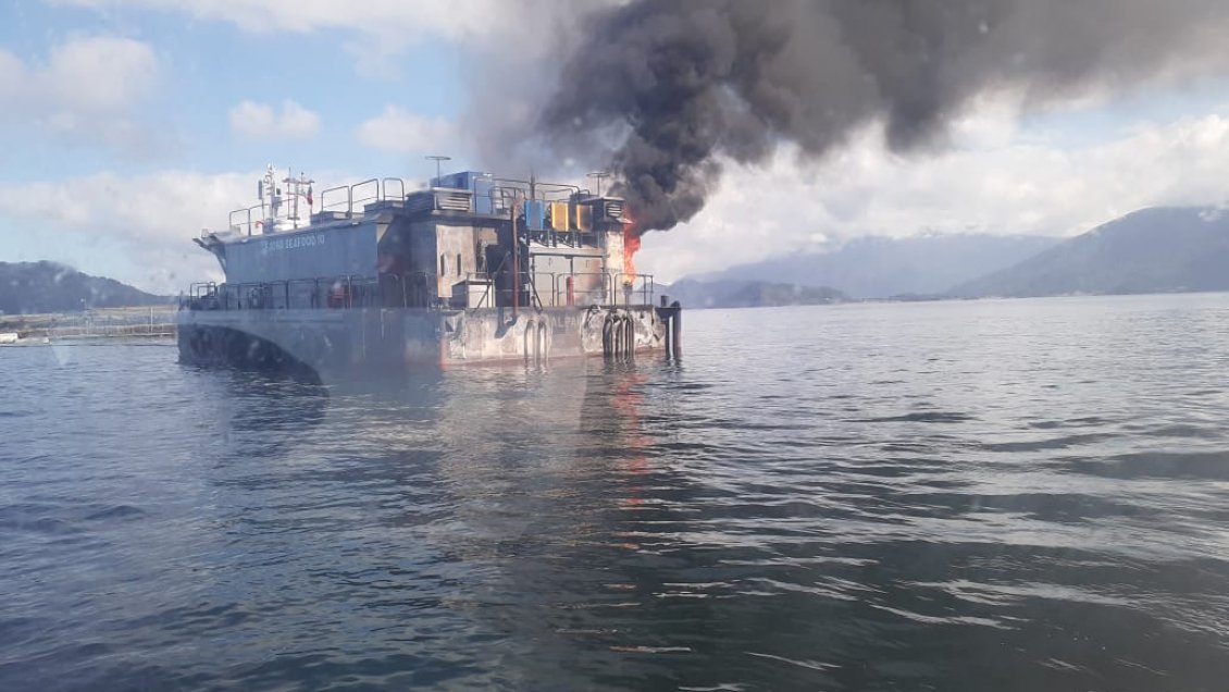 Incendio afectó a plataforma salmonera en Hualaihué