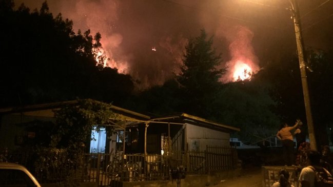 Chiguayante: Incendio forestal en descontrol obligó a decretar alerta roja para la ciudad