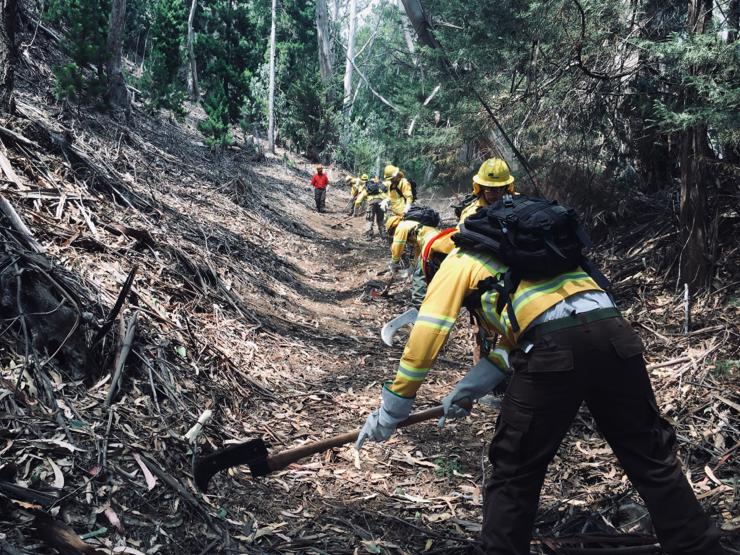 Conaf inició labores de prevención de incendios forestales en Juan Fernández
