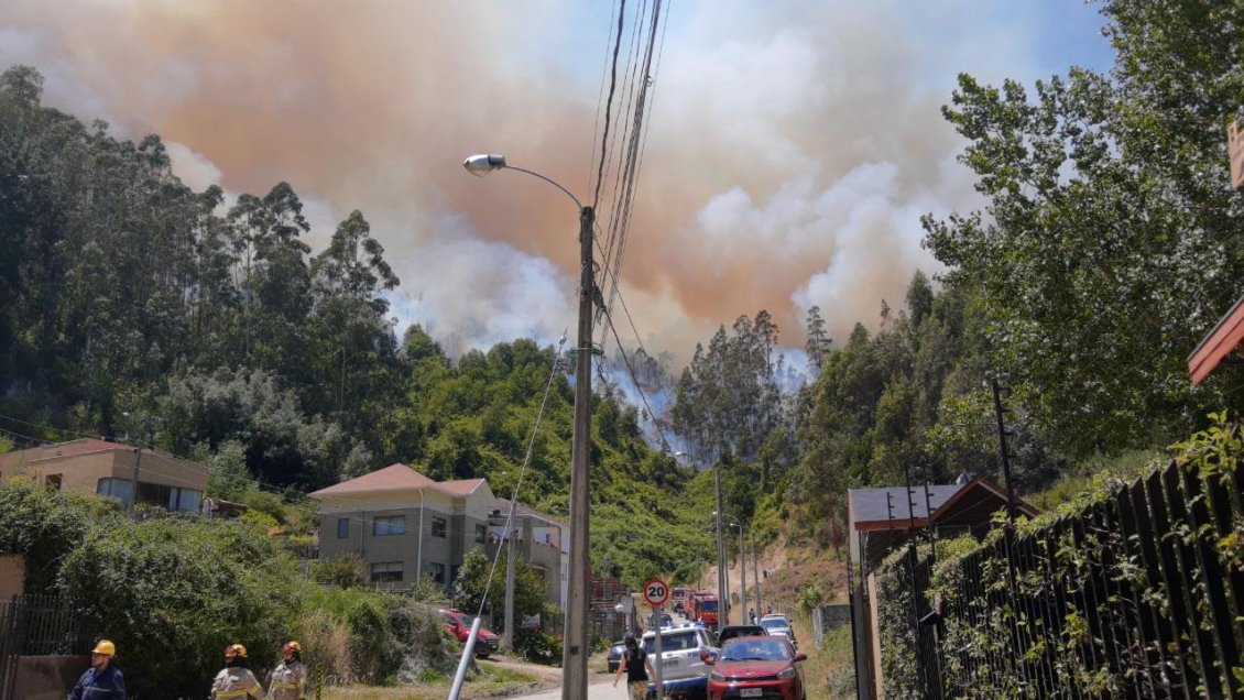Incendios forestales: Tres casas destruidas por el fuego y cuatro comunas afectadas en el Biobío