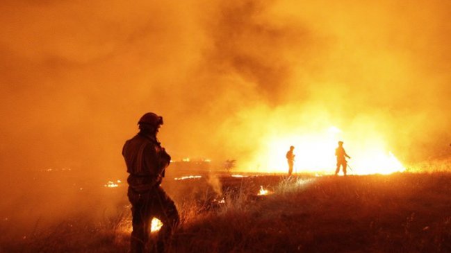 Balance de Onemi: 13 incendios forestales siguen activos a nivel nacional